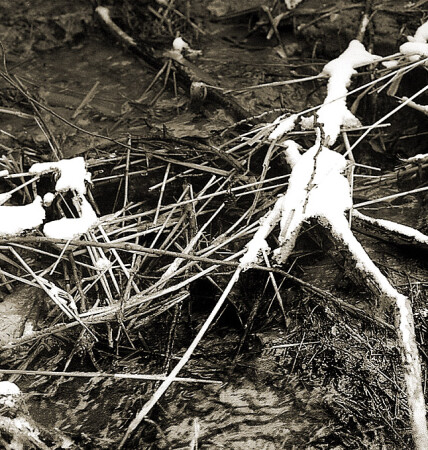 Умирающий снег