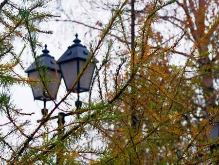Осенний городской пейзаж с фонарем