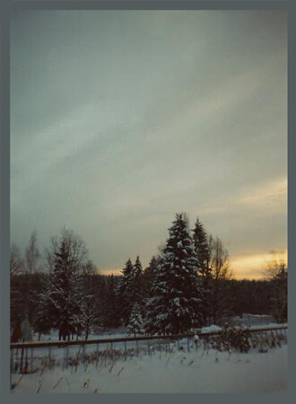 Утро зимнего дня