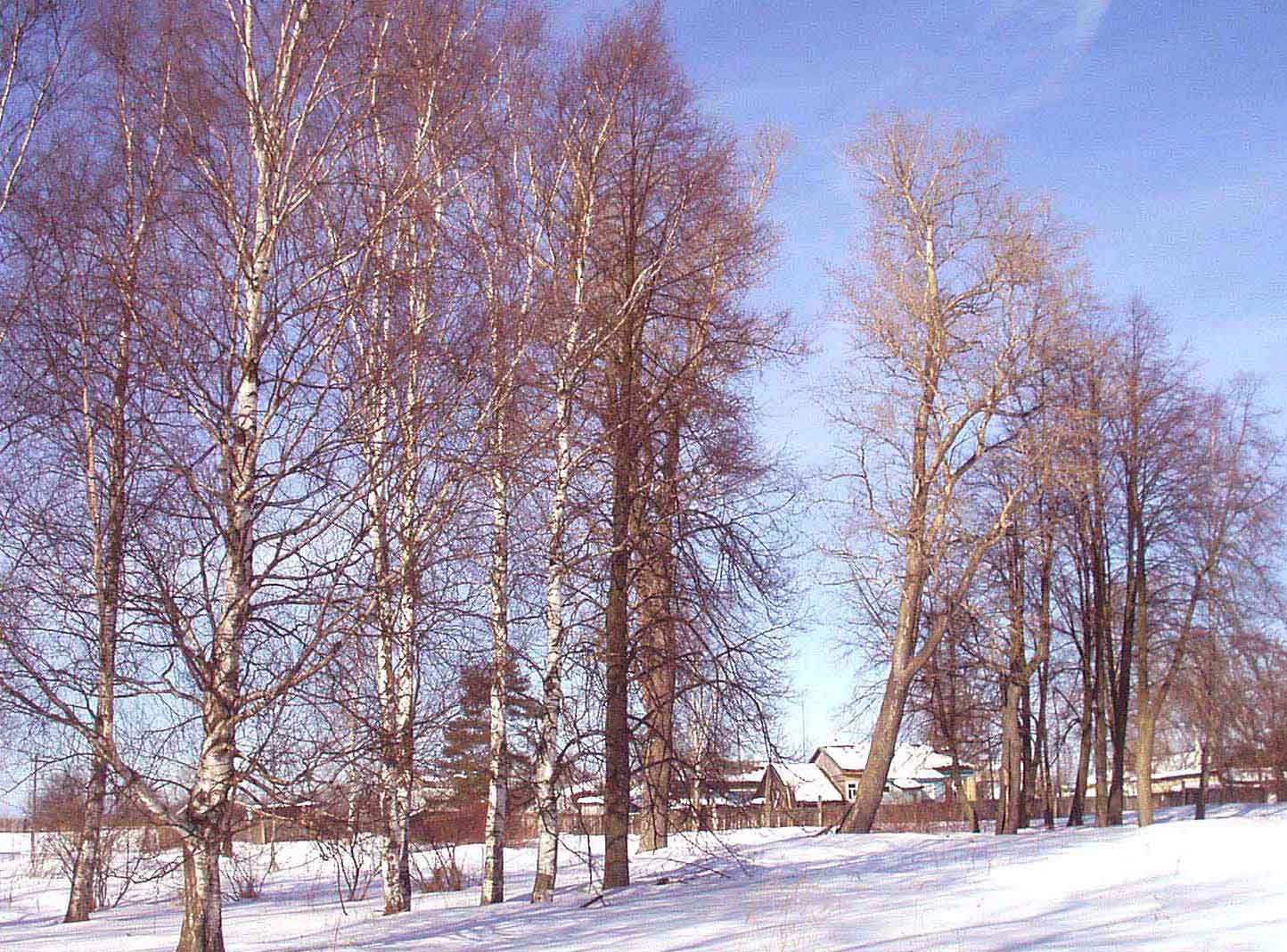 Белое безмолвие