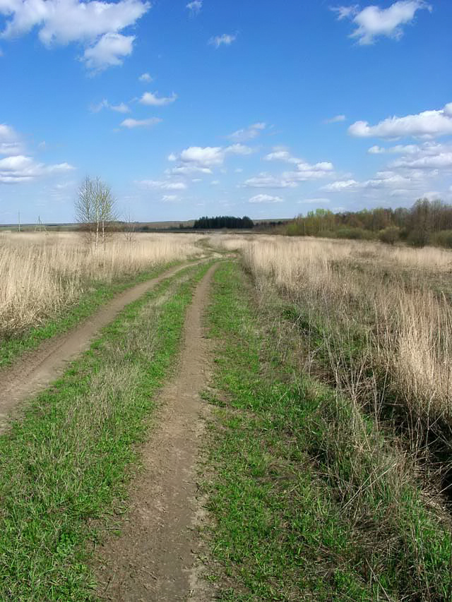 деревенская дорога