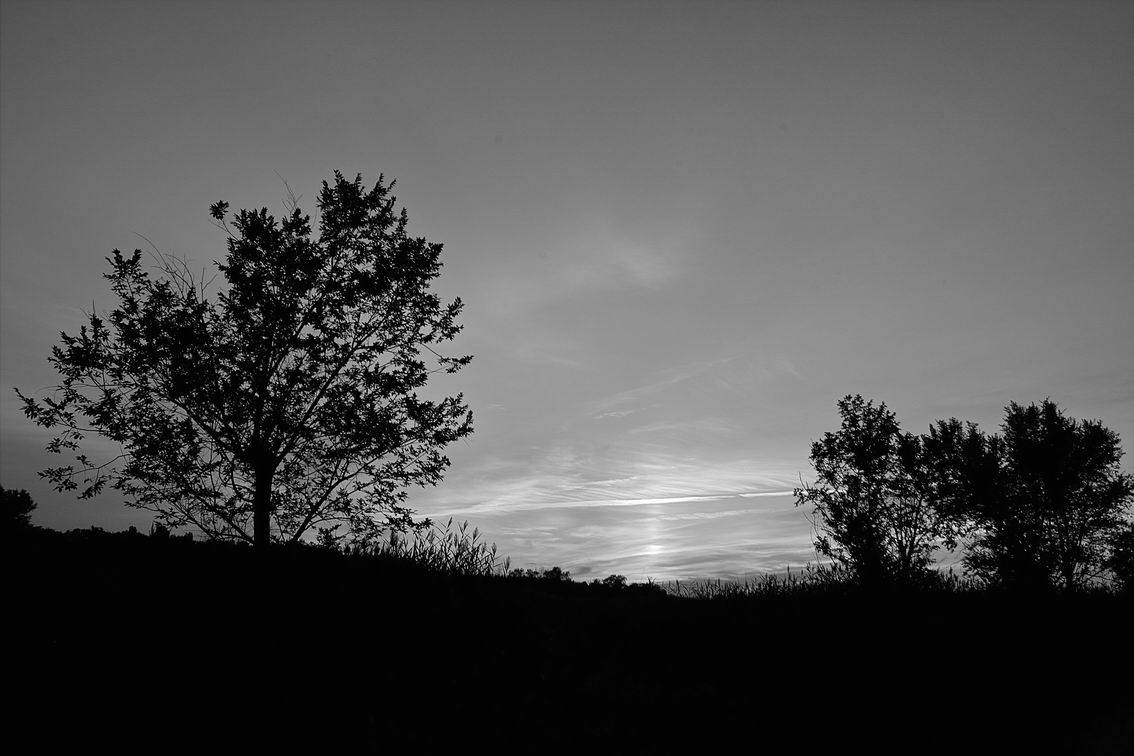 Sunset #1 (bw)