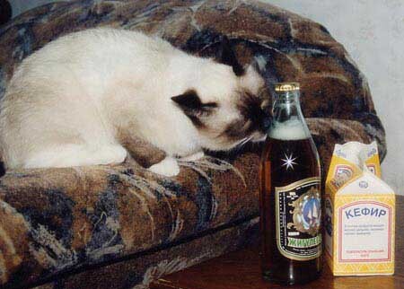 Мы выбираем...