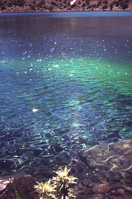 Волшебная вода