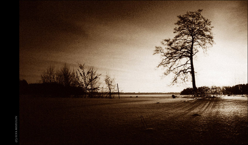 ...............февраль #2 (b/w)