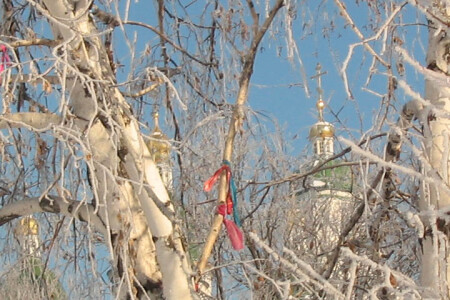 Роджественское настроение