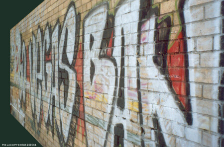 Wall(vegas band)