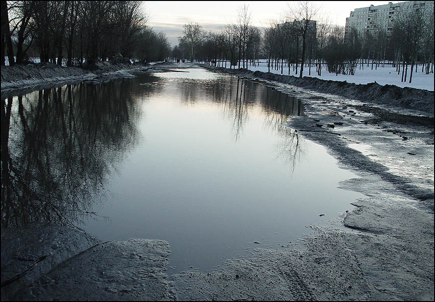 лужа