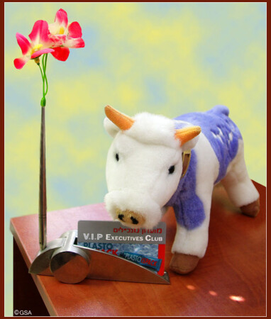 V.I.P Executives Club