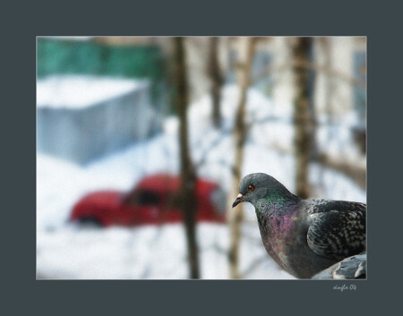 Символ антизла, в паре с размытым символом отечественного автопрома, краснеющим от стыда.