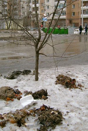 Пришла весна!