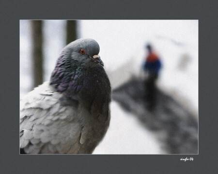 Символ антизла с неясным венцом творения природы в перспективе.
