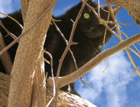 мне сверху видно все! ты так и знай...