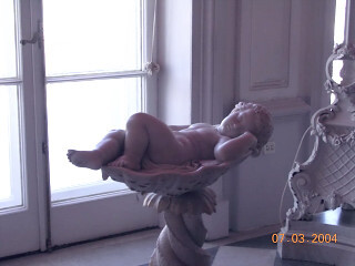 спящий амур