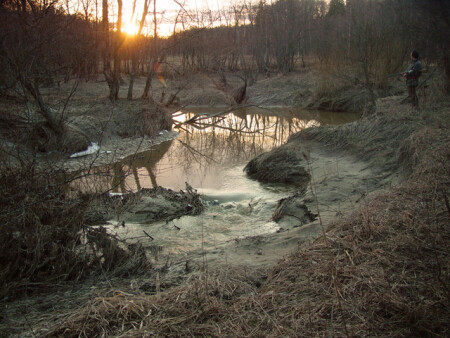 Рассвет на охоте.