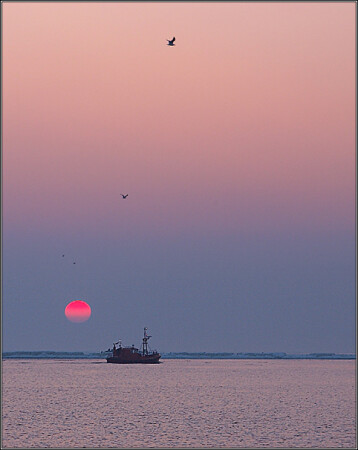 ...уплывают корабли, улетают птицы