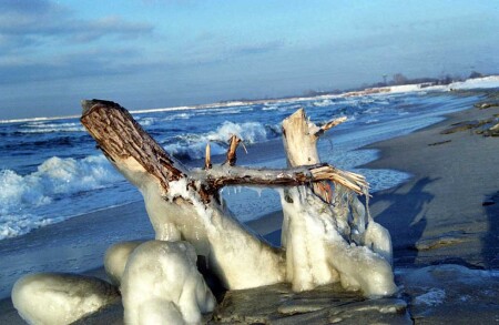 Балтика, берег