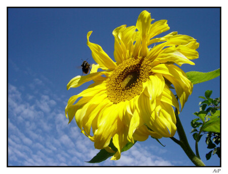 Первая космическая