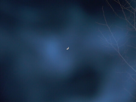 Вышел месяц из тумана...