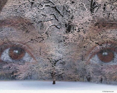 my winter eyes