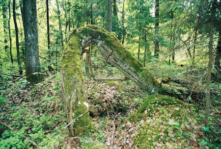 Лешего товарищ.
