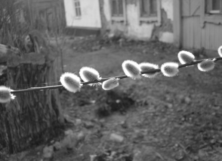 Весна на Заречной улице