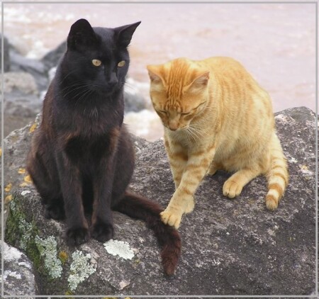 Трудный разговор