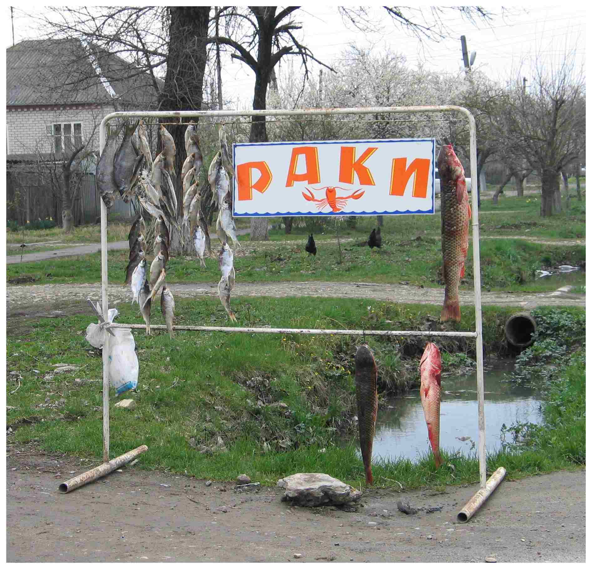 Мутация...