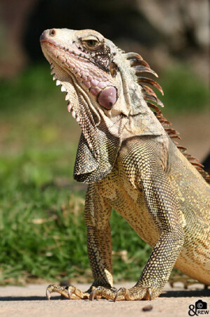 &quot;А взгляд - как у орла&quot;(с)