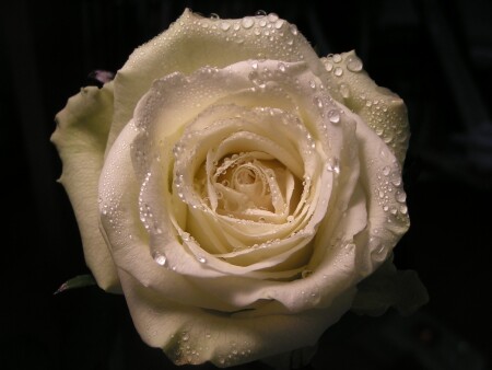 без названия