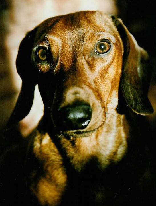 Axel