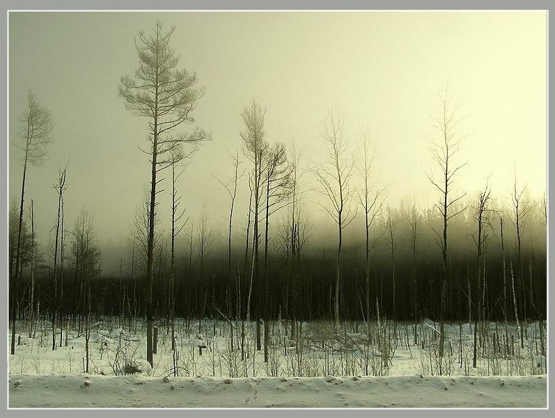 Уходящий туман (1)