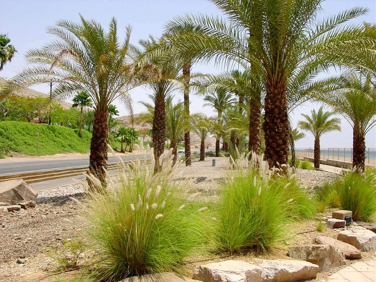 Eilat. Шоссе возле Красного моря