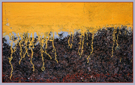 The Wall