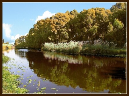 На закате лета