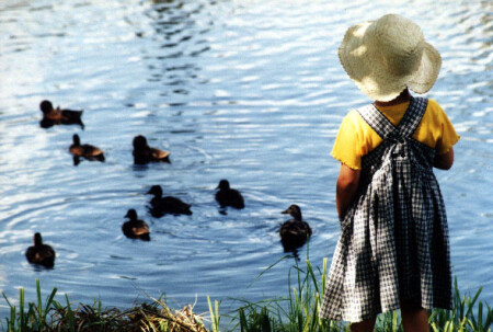 наблюдение...