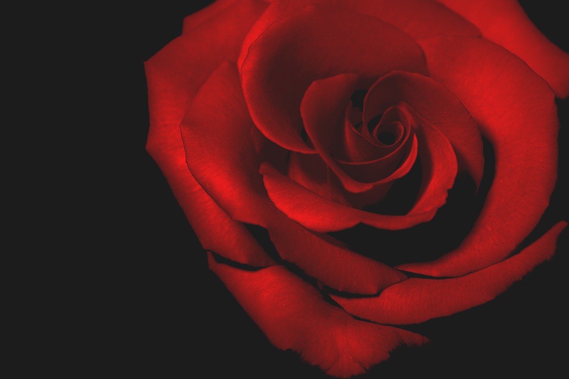 Simply red
