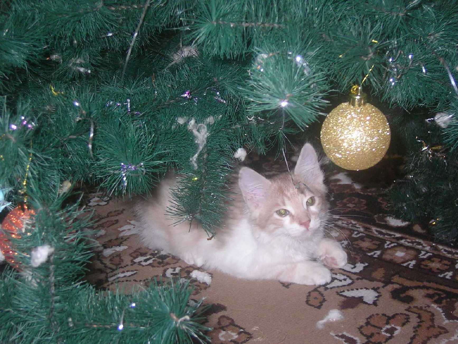 С Новым Годом!
