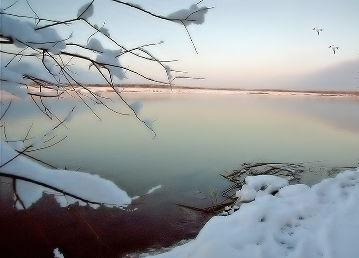 С теплотой о прошедшей зиме