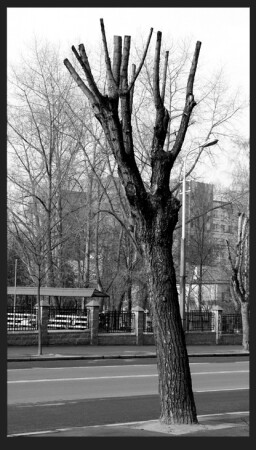 Автопортрет