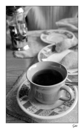 the cup of...