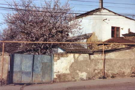 Весна в Симферополе