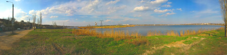 Native Nature
