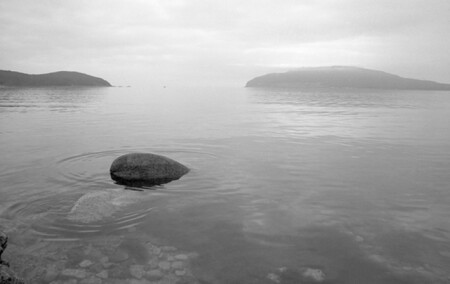 Ветер допел свою песню, туман улёгся на воду. Тишина.