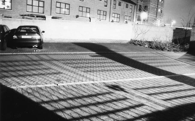 yard