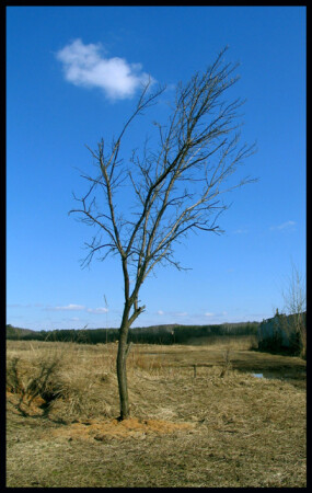 Alone