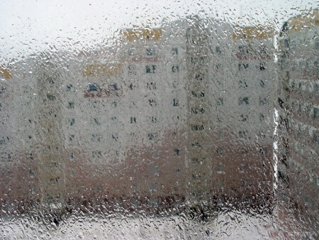 Ледяной дождь