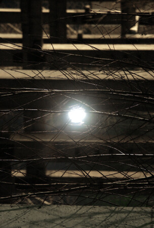 Ночная жемчужина