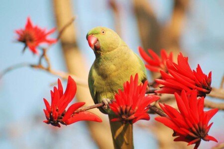 Красив ли Я !?