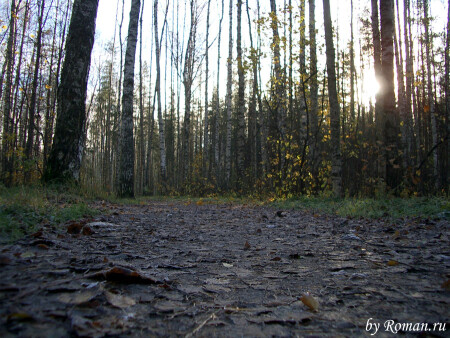 Вечер в парке